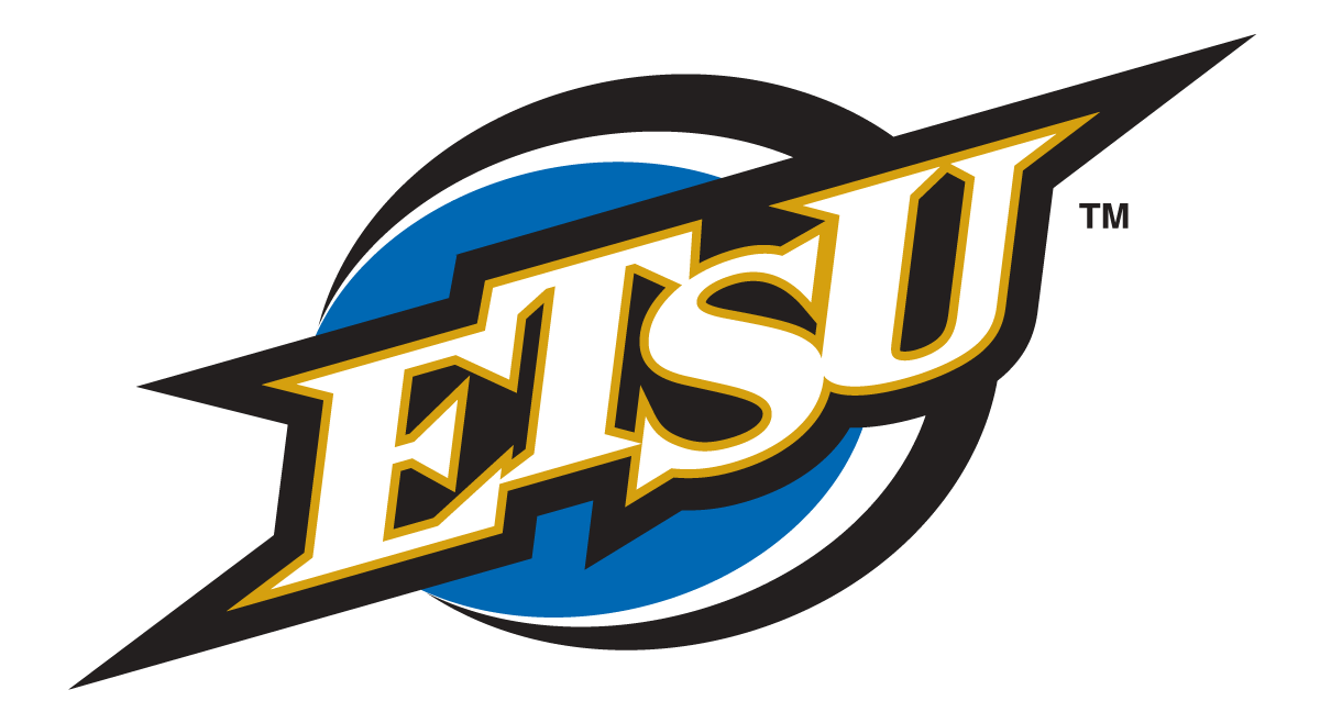 ETSU Buccaneers 2002-2013 Alternate Logo v2 diy DTF decal sticker